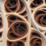 Random image: Flameoba Gestation Detail