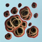 Random image: Flamungle Gestation