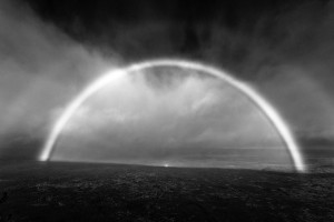 Portal - Big Island - Navid Baraty