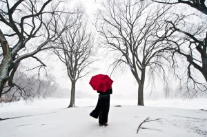 Prospect Park Blizzard - Navid Baraty