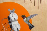 Nectar - Dave Todaro