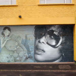 Street Art - Husky Brown
