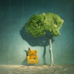 Random image: Home - Thor Lindeneg
